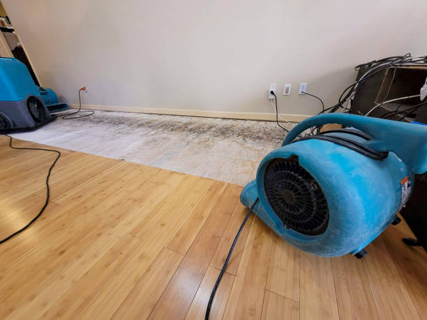 Professional Emergency Water Damage technician working in Carlisle, PA